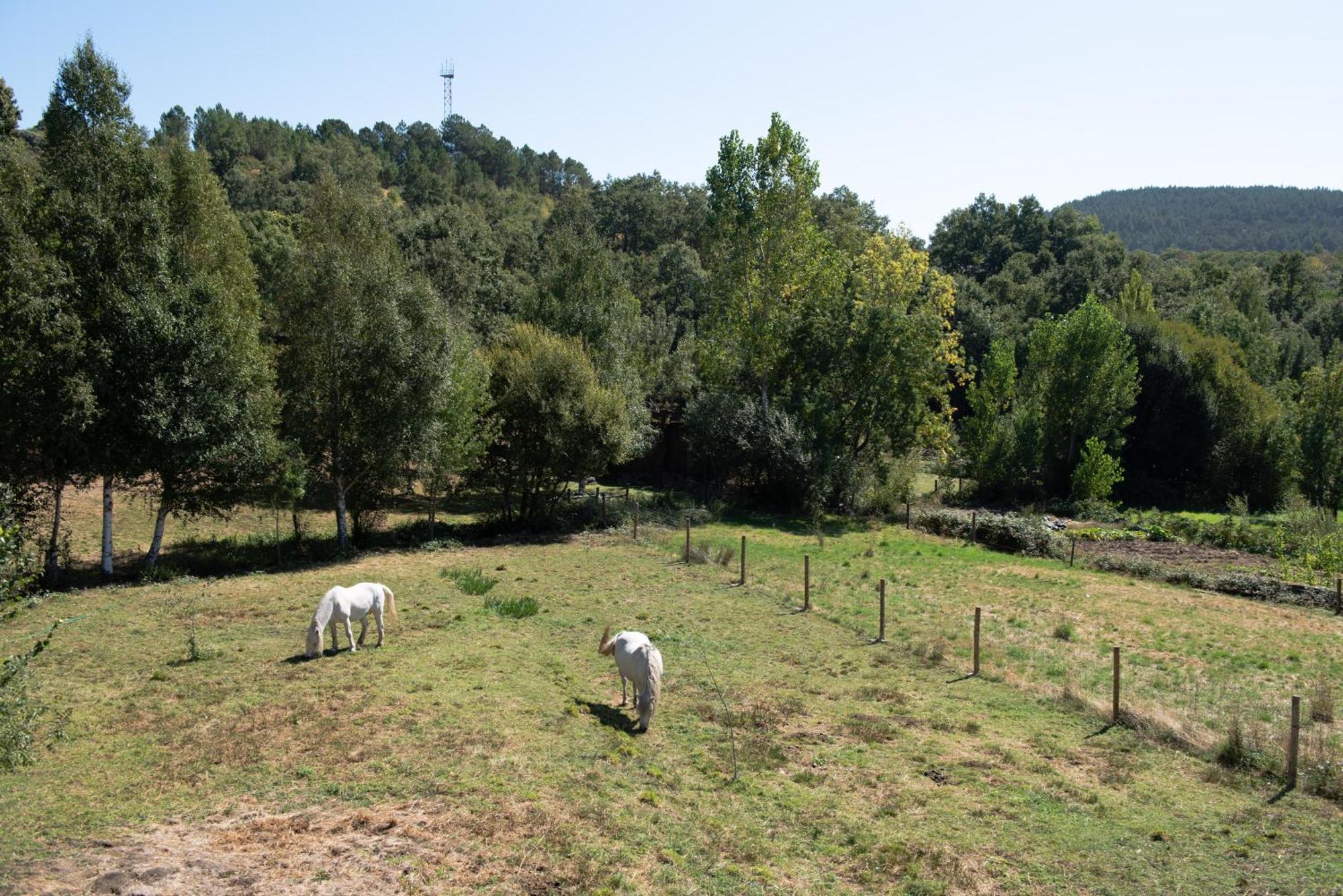 A Lagosta Perdida Montezinho エクステリア 写真